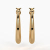 Elongated Oval Hoop Earrings