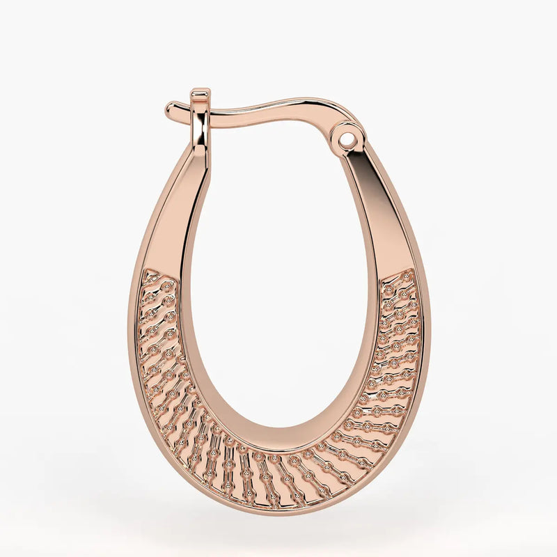 Hammer Curve Hoop Earrings