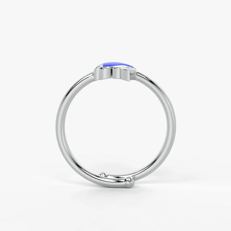 Ocean Joy Dolphin Splash Ring