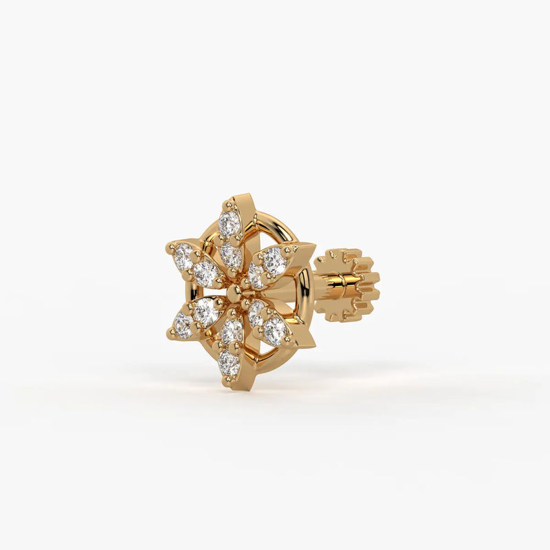 Star Wheel Screw Nose Pin