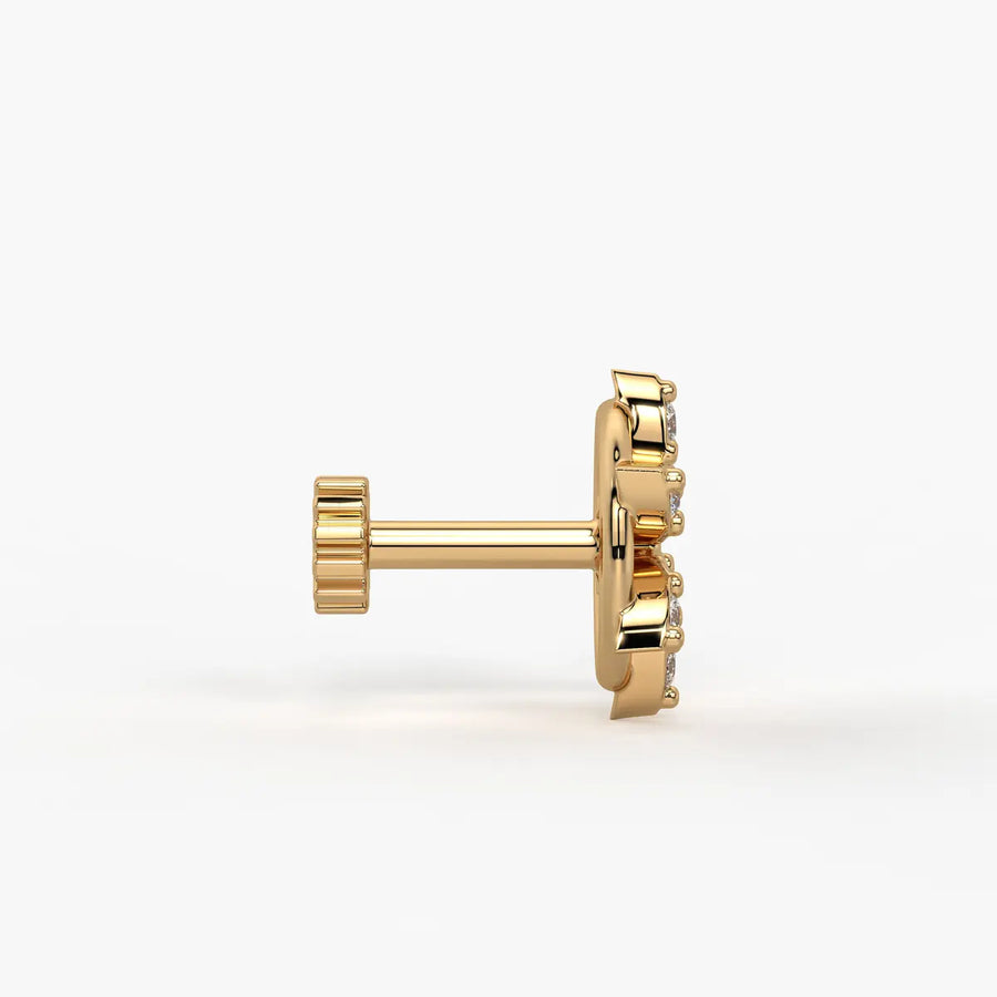 Star Wheel Screw Nose Pin